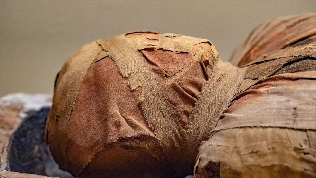 L'odeur d'une momie recréé par des scientifiques