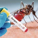 350 morts de la dengue au Burkina-Faso