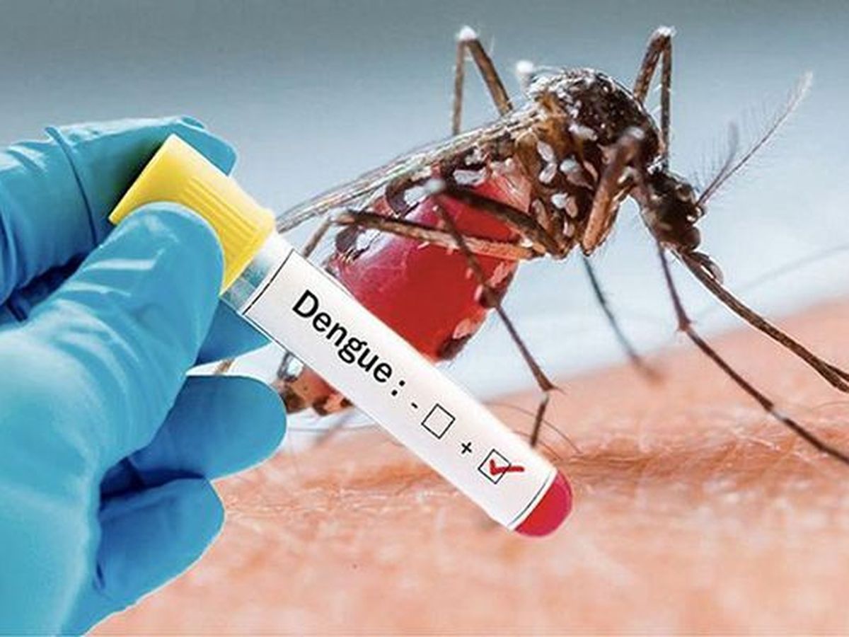 350 morts de la dengue au Burkina-Faso