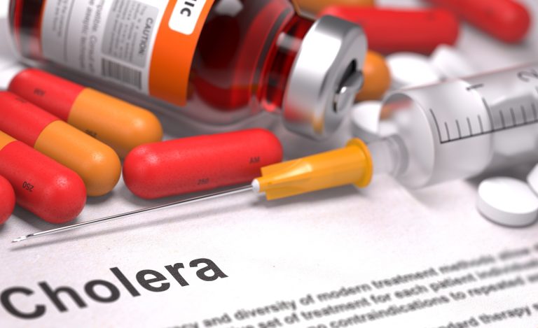 La Zambie travaille pour accueillir la première usine de vaccins anti choléra