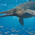 Un ichtyosaure géant de 25 mètres