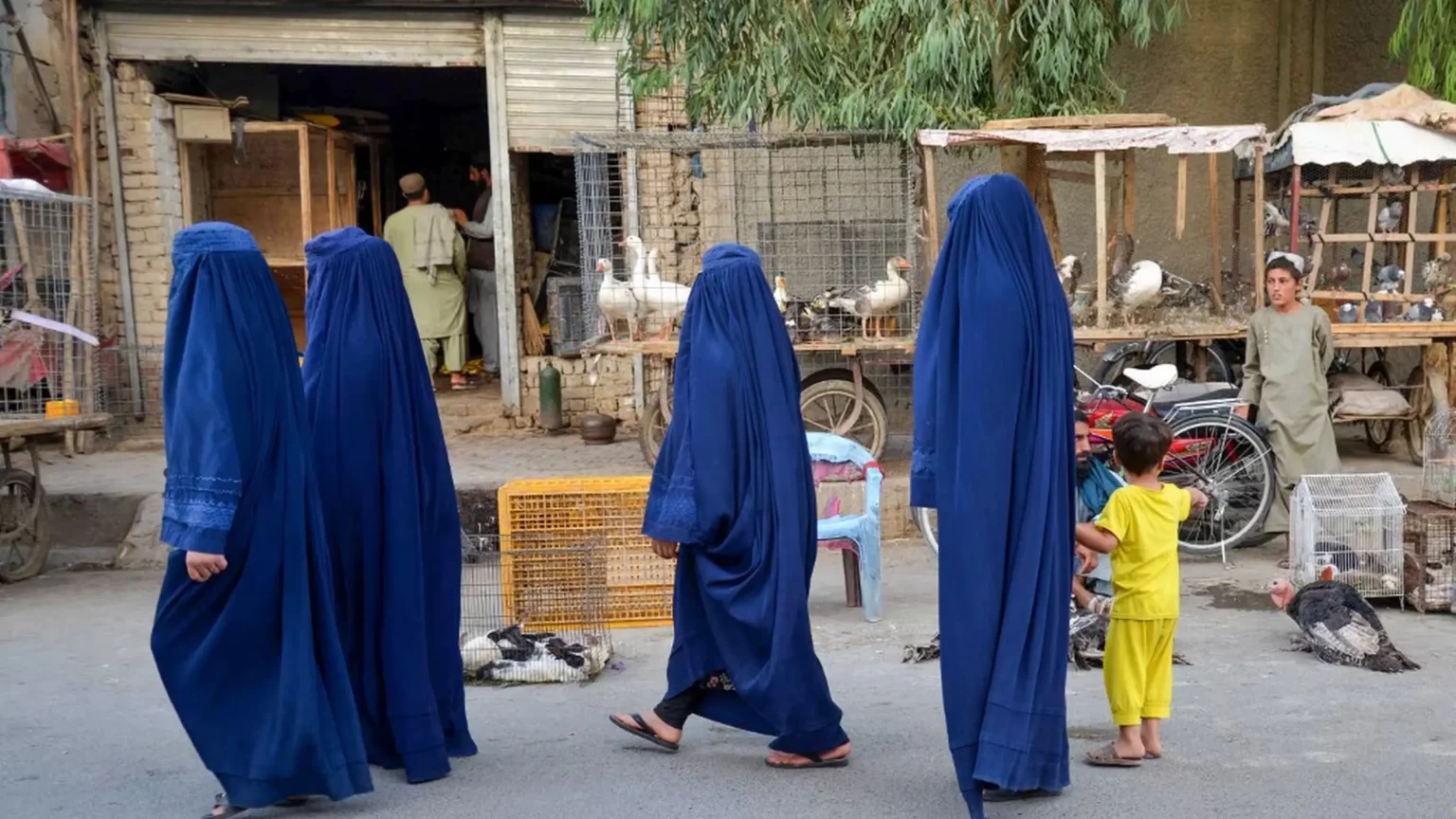 Des femmes afghanes dans une rue de Kandahar, en Afghanistan, le 3 septembre 2024. (SANAULLAH SEIAM _ AFP)