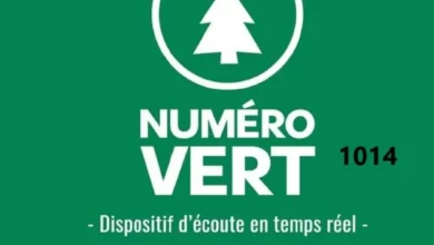 Un nouveau numéro vert pour lutter contre les violences s3xuelles @Togoactualite