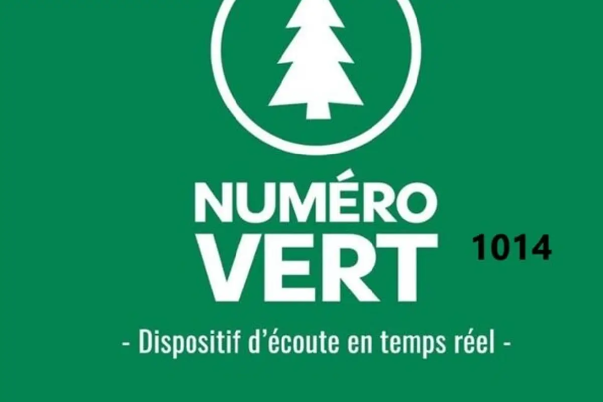 Un nouveau numéro vert pour lutter contre les violences s3xuelles @Togoactualite